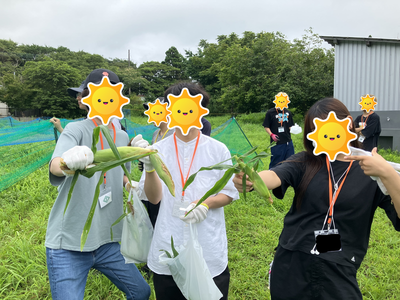 野菜収穫①.png