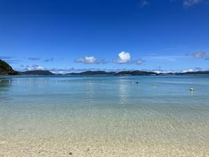 IMG_1440.jpeg