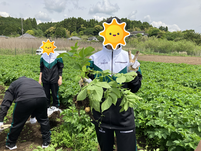 R7芋堀り.png