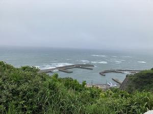 IMG_2939.jpg